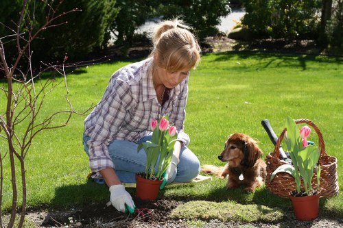 Flower beds and tools arranged for seasonal garden maintenance in a Hornsey front garden